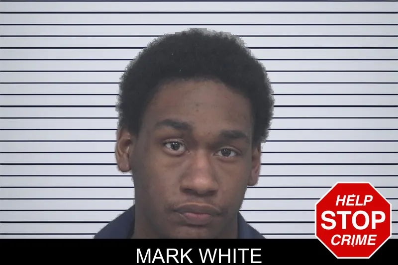 Mark White mugshot