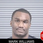 Mark Williams mugshot