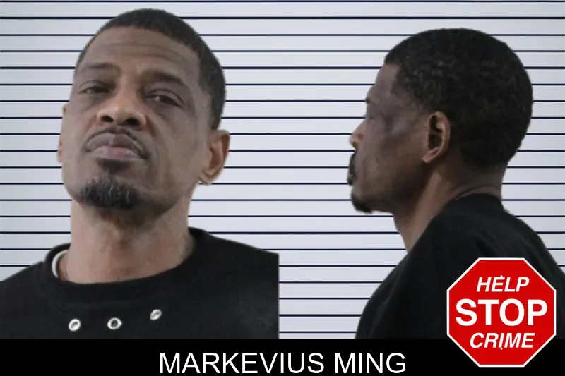 Markevius Ming mugshot – Houston County , Georgia Markevius Ming mugshot
