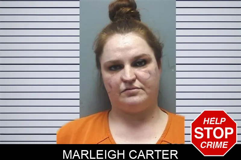 Marleigh Carter mugshot – Cherokee County , Georgia Marleigh Carter mugshot