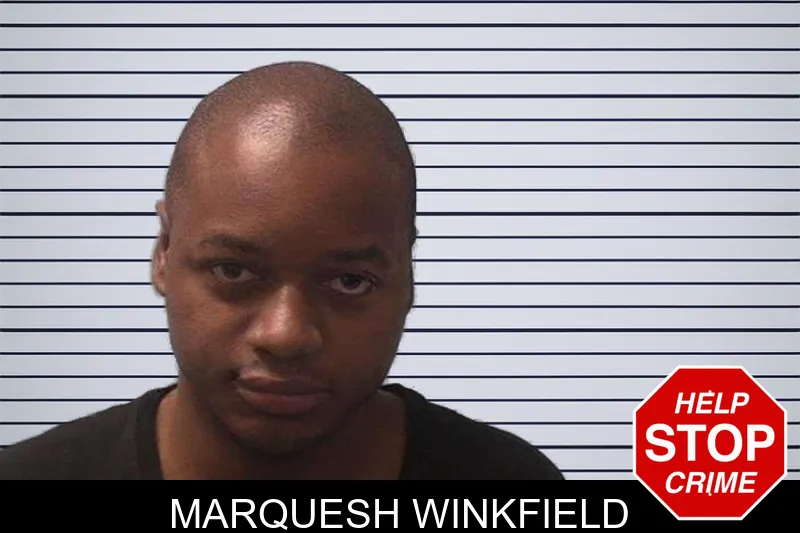 Marquesh Winkfield mugshot – Franklin County , Georgia Marquesh Winkfield mugshot