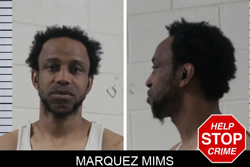 Marquez Mims mugshot