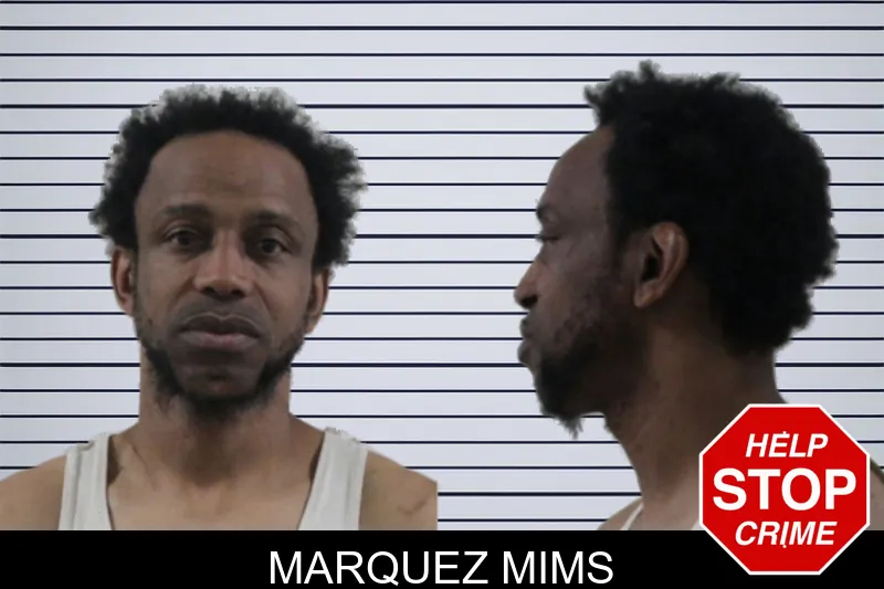 Marquez Mims mugshot