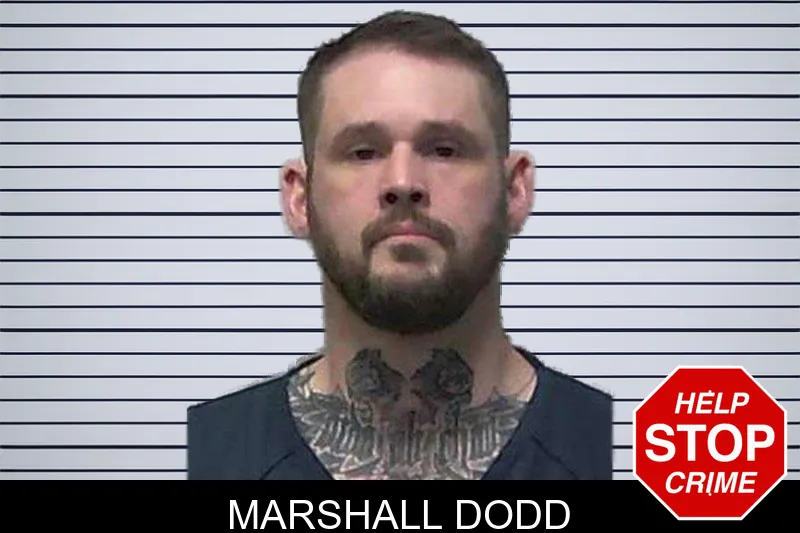 Marshall Dodd mugshot – Gilmer County , Georgia Marshall Dodd mugshot