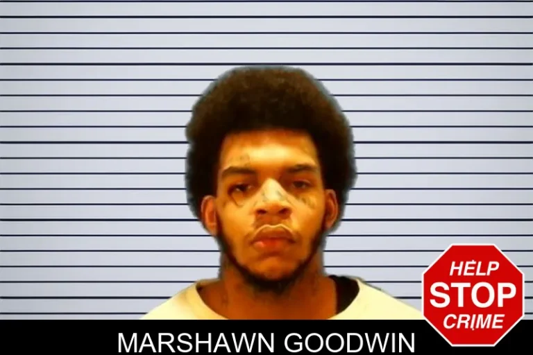 Marshawn Goodwin