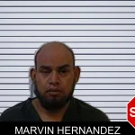 Marvin Hernandez mugshot