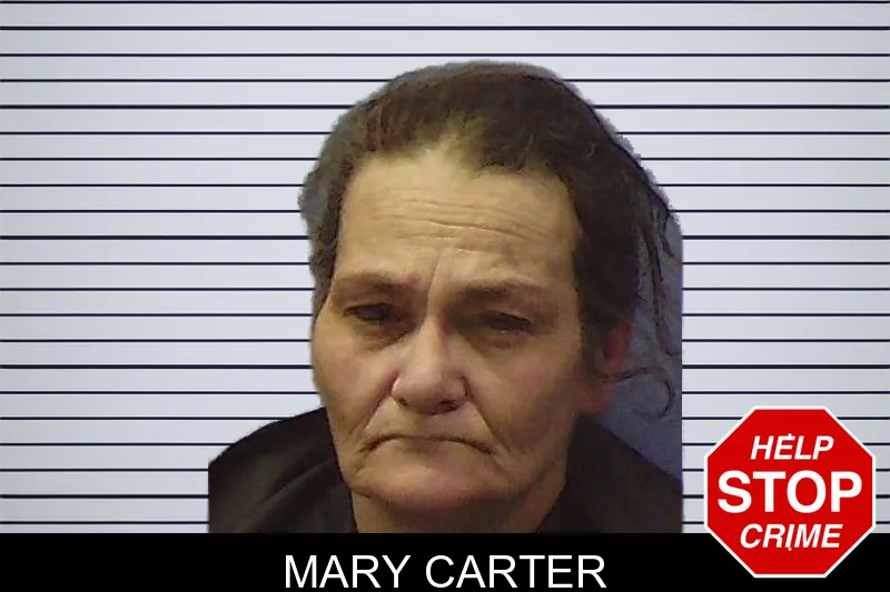 Mary Carter mugshot