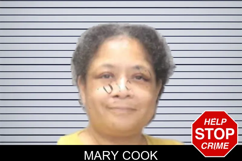 Mary Cook mugshot