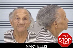 Mary Ellis mugshot