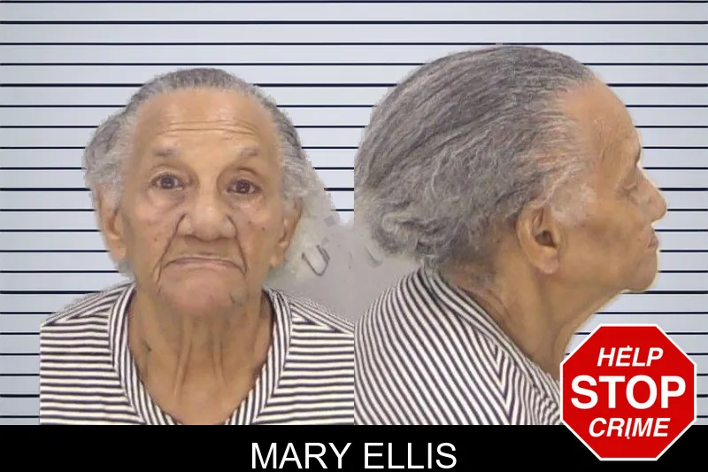 Mary Ellis mugshot