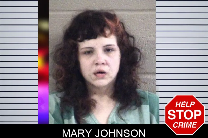 Mary Johnson mugshot