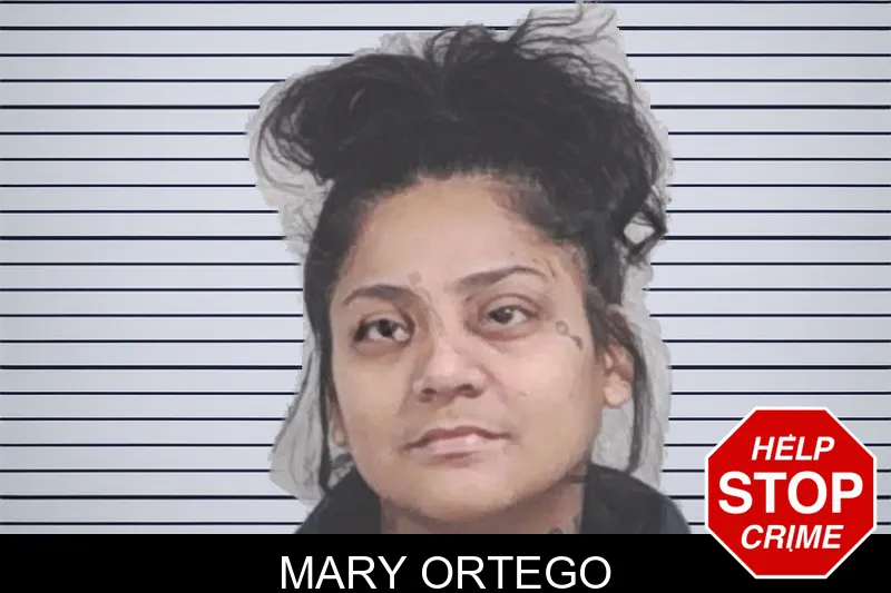 Mary Ortego mugshot – Lowndes County , Georgia Mary Ortego mugshot