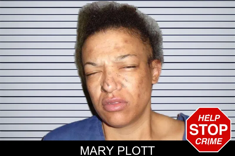 Mary Plott mugshot