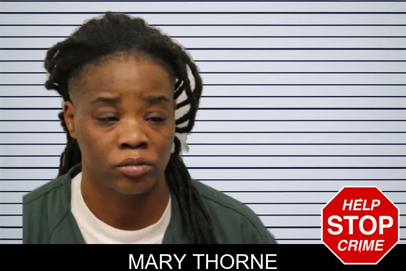 Mary Thorne mugshot – Chatham County , Georgia Mary Thorne mugshot
