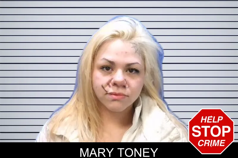 Mary Toney mugshot – Troup County , Georgia Mary Toney mugshot