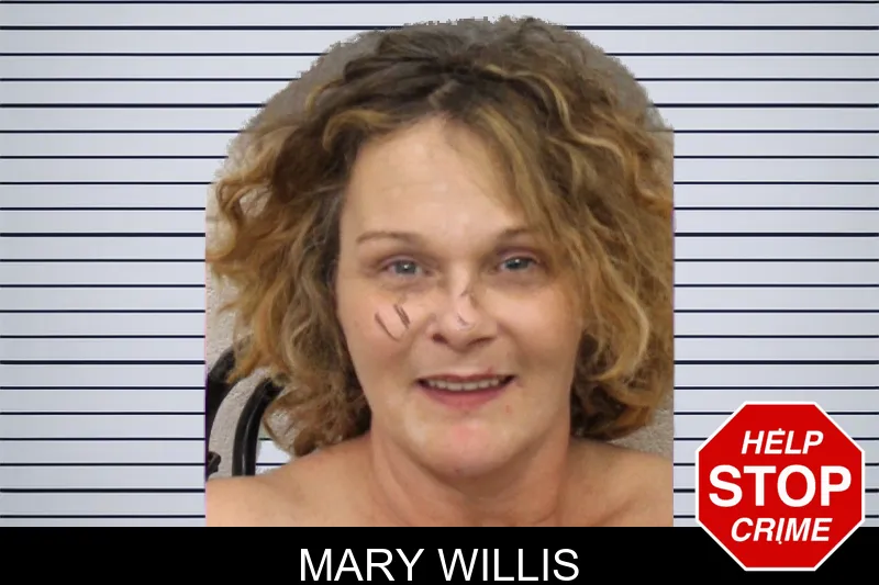 Mary Willis mugshot