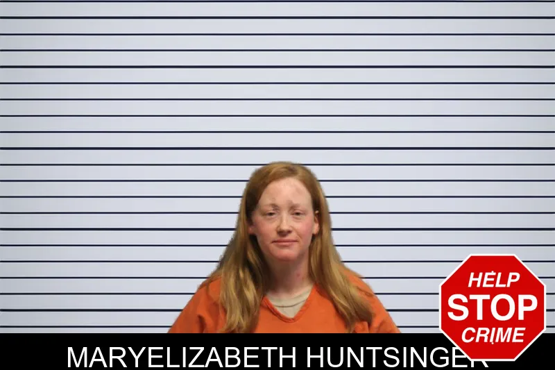 Maryelizabeth Huntsinger mugshot – Lumpkin County , Georgia Maryelizabeth Huntsinger mugshot