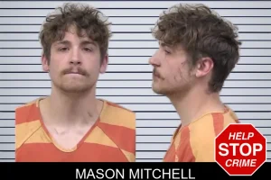 Mason Mitchell mugshot