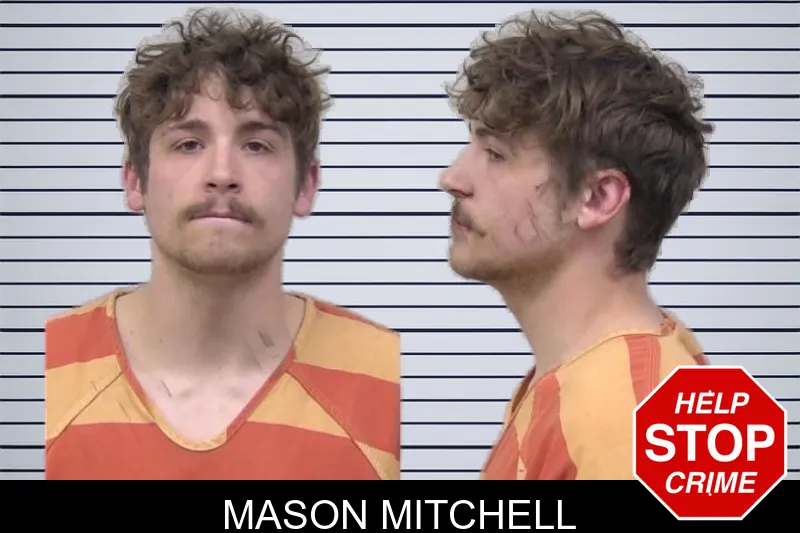 Mason Mitchell mugshot