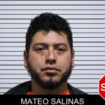 Mateo Salinas mugshot – Habersham County , Georgia Mateo Salinas mugshot