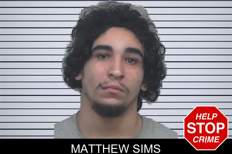 Matthew Sims mugshot – Gwinnett County , Georgia Matthew Sims mugshot