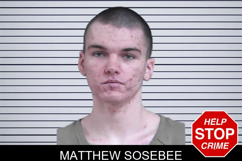 Matthew Sosebee mugshot