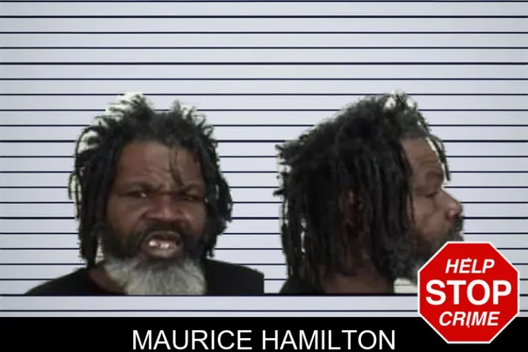 Maurice Hamilton mugshot – Camden County , Georgia Maurice Hamilton