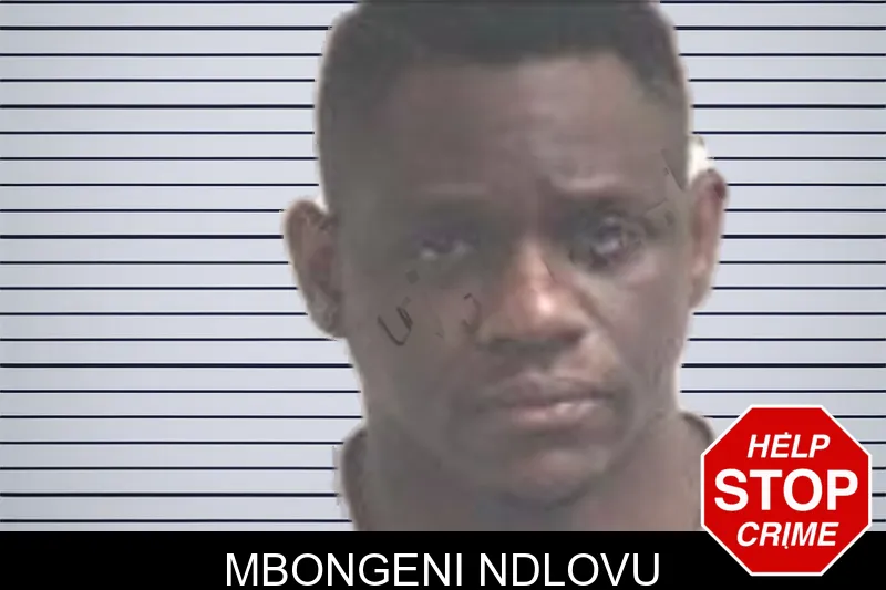 Mbongeni Ndlovu mugshot