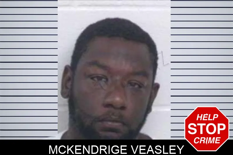 McKendrige Veasley mugshot – Washington County , Georgia McKendrige Veasley mugshot