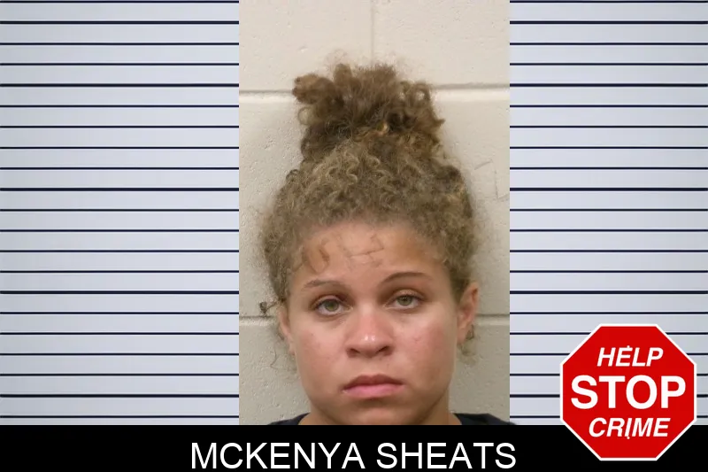 McKenya Sheats mugshot – Bulloch County , Georgia McKenya Sheats mugshot