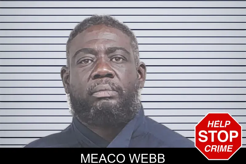Meaco Webb mugshot