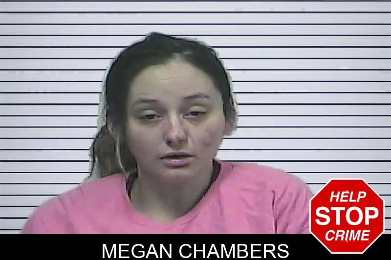 Megan Chambers mugshot