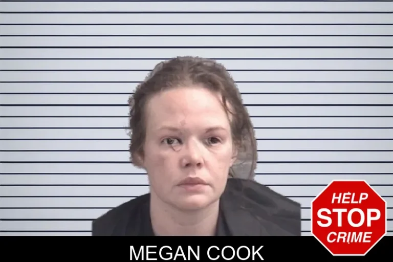 Megan Cook mugshot – Spalding County , Georgia Megan Cook