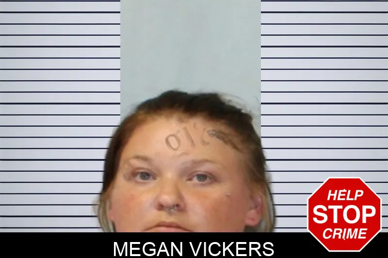 Megan Vickers mugshot
