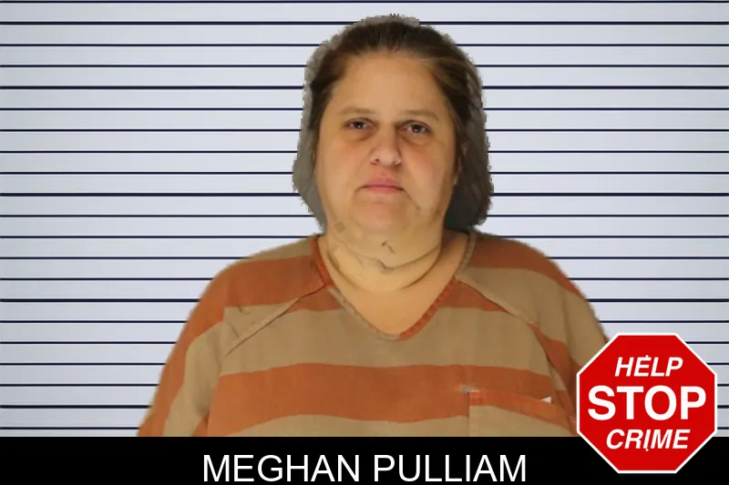 Meghan Pulliam mugshot