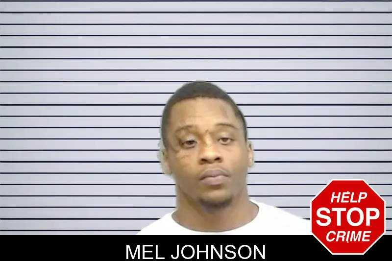 Mel Johnson mugshot