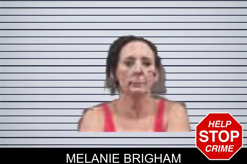 Melanie Brigham mugshot