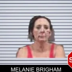 Melanie Brigham mugshot – Banks County , Georgia Melanie Brigham mugshot