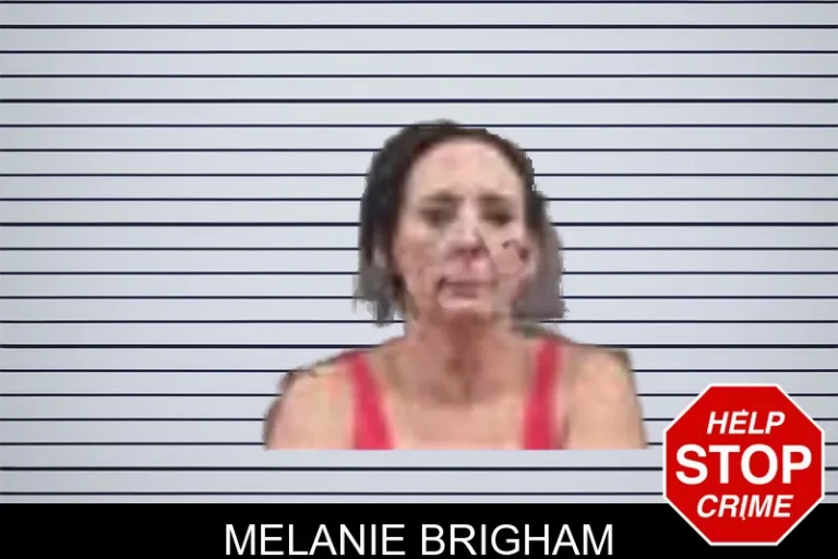 Melanie Brigham mugshot – Banks County , Georgia Melanie Brigham