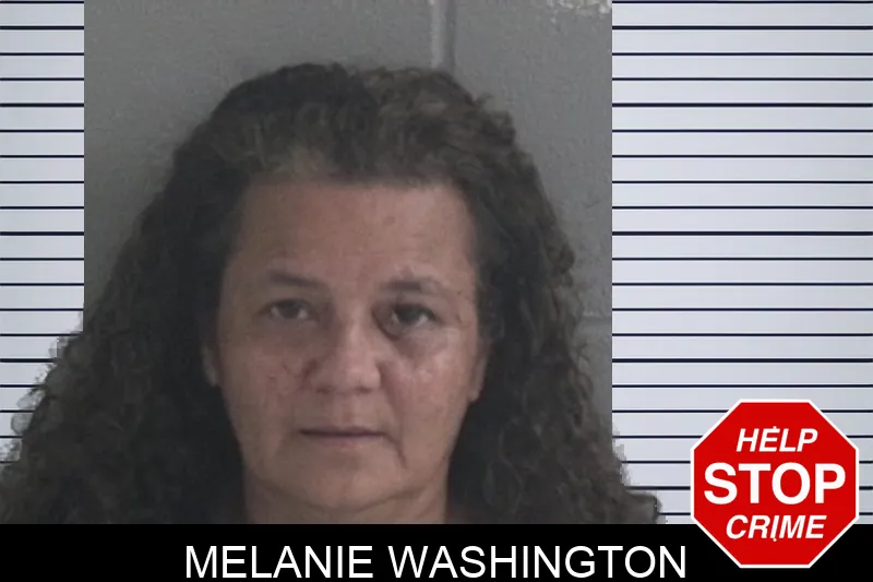 Melanie Washington mugshot – Brantley County , Georgia Melanie Washington mugshot