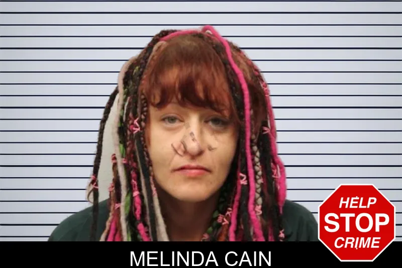 Melinda Cain mugshot