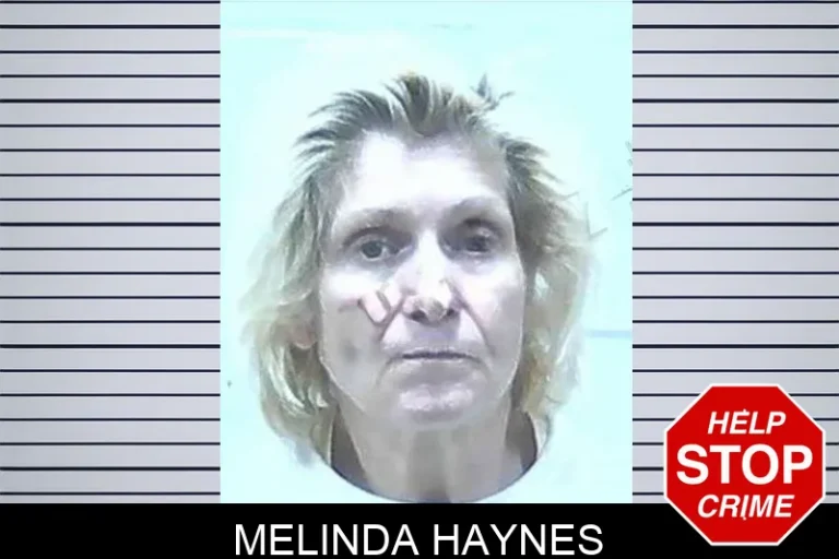 Melinda Haynes mugshot – Jackson County , Georgia Melinda Haynes