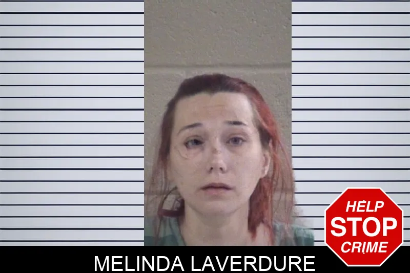 Melinda Laverdure mugshot – Whitfield County , Georgia Melinda Laverdure mugshot