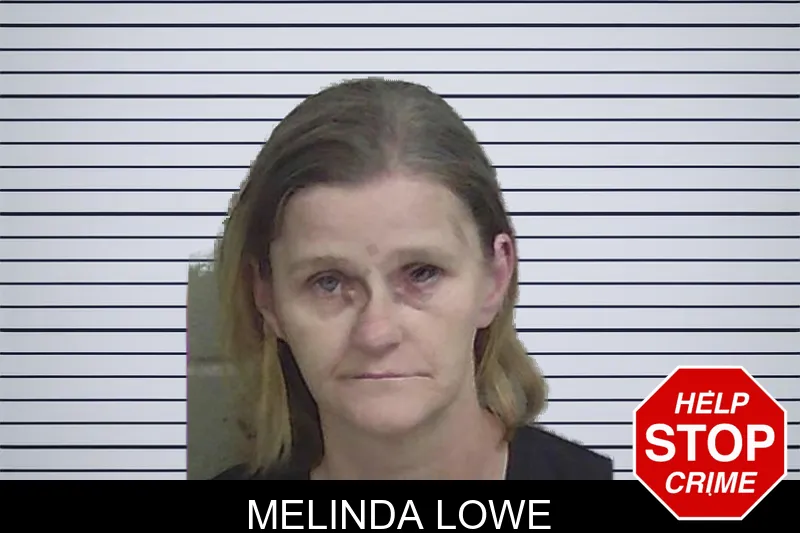 Melinda Lowe mugshot