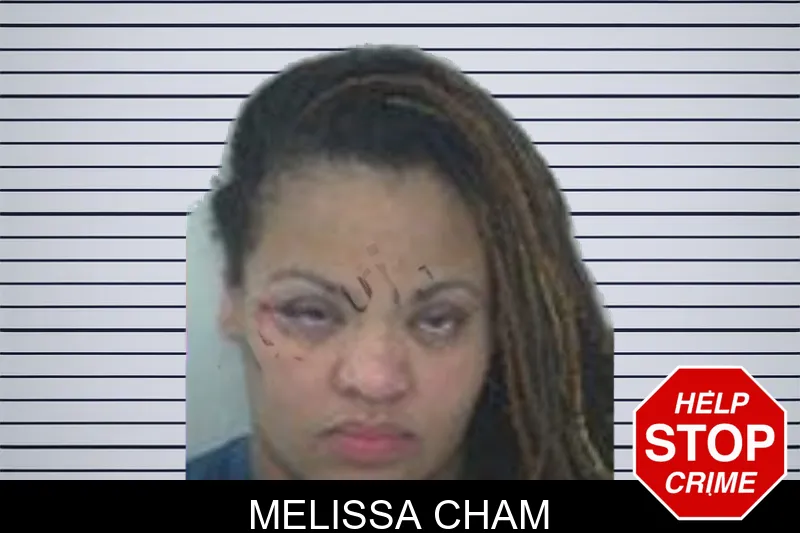 Melissa Cham mugshot