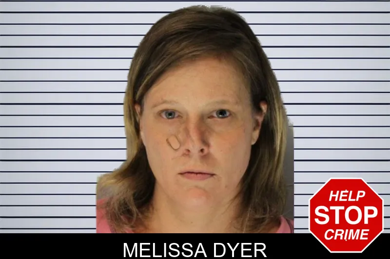 Melissa Dyer mugshot – Hall County , Georgia Melissa Dyer mugshot