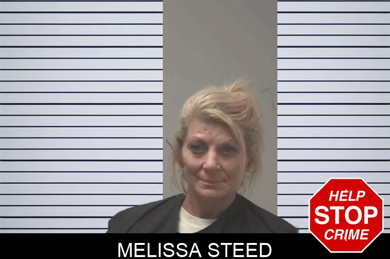 Melissa Steed mugshot