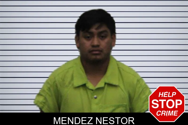 Mendez Nestor mugshot
