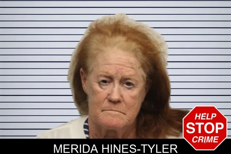 Merida Hines-Tyler mugshot – Chatham County , Georgia Merida Hines-Tyler