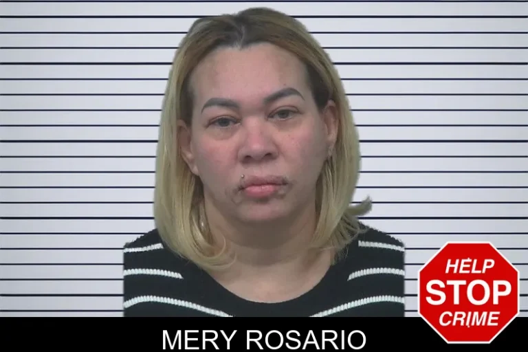 Mery Rosario mugshot – Gwinnett County , Georgia Mery Rosario